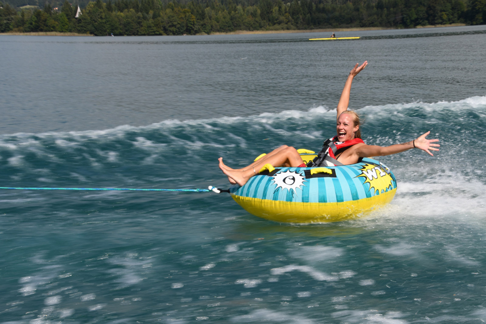 20241sp_Spinera Wild Bob