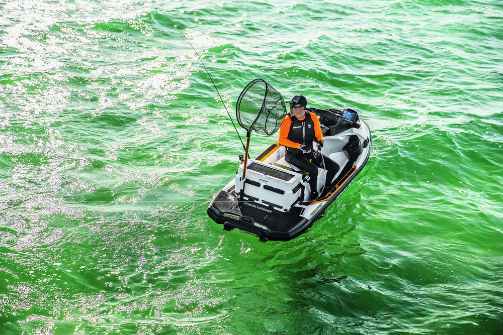 269800817_ LinQ Kühlbox 51 L