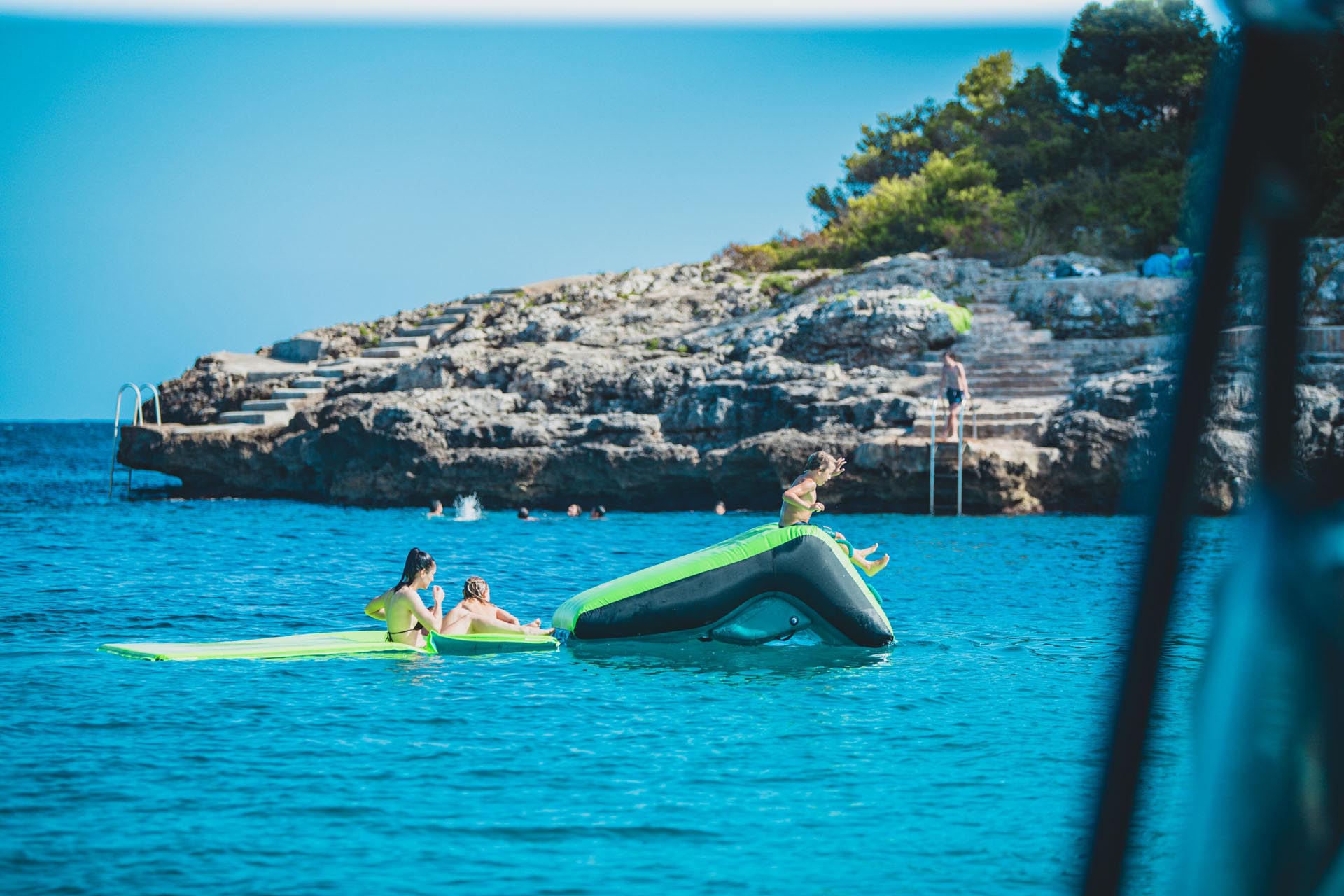 230221001db_Jobe Switch 2P