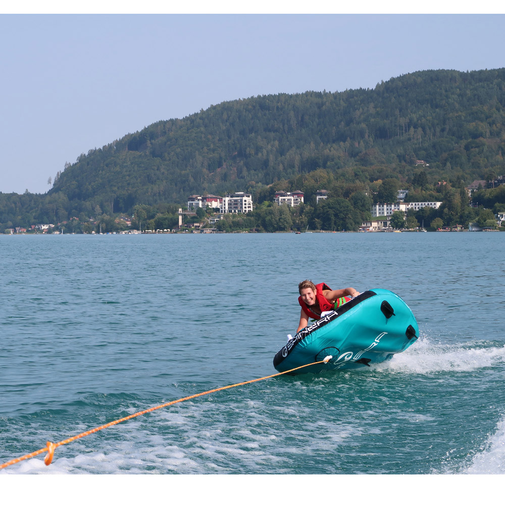 19354sp_Spinera Ikran