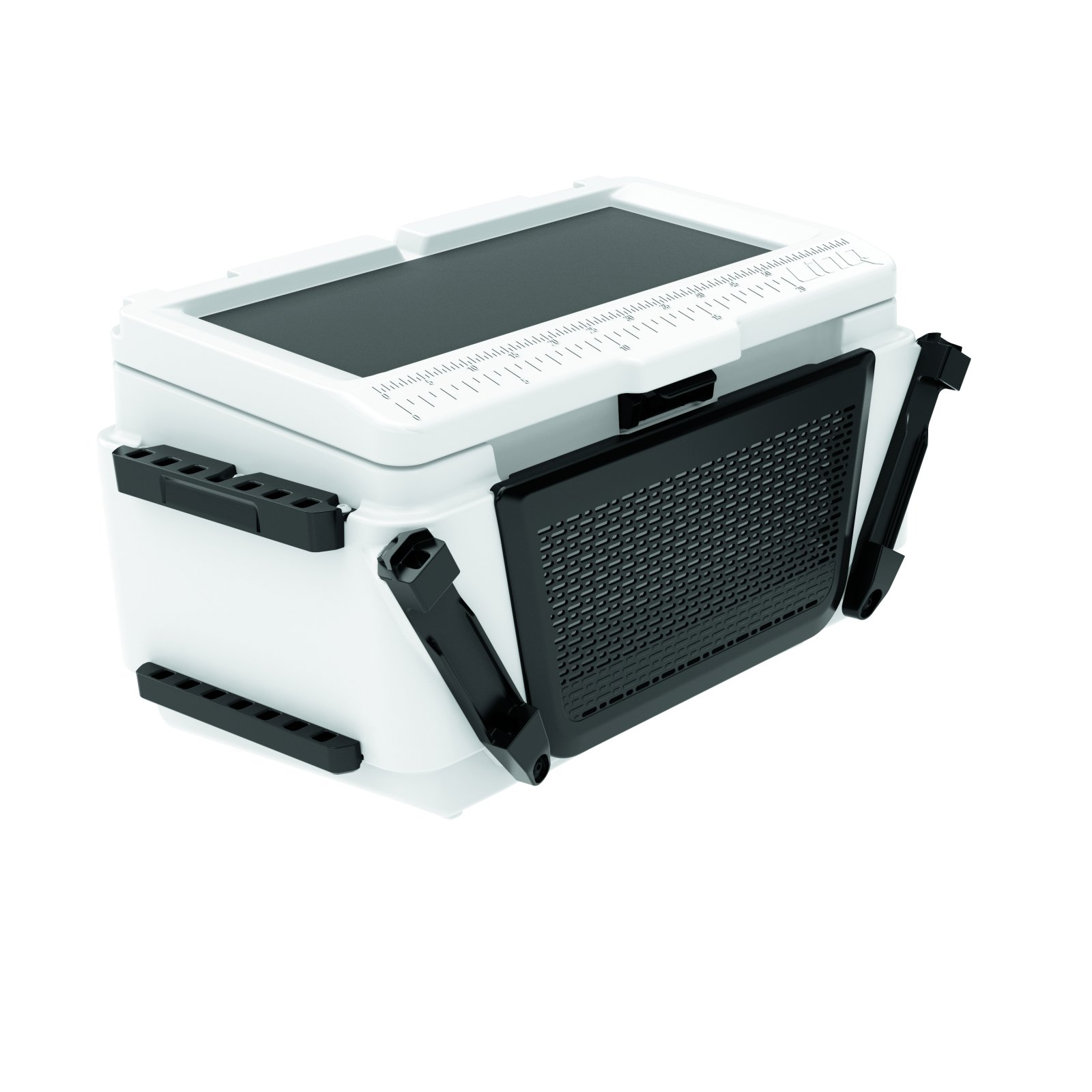 269800817_ LinQ Kühlbox 51 L